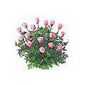 Flowers to India : Send Flowers to India