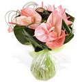 Send Flowers to India : Anniversary Flowers to India