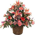 Send Anniversary Flowers to India