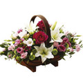 Send Flowers to India : Anniversary Flowers to India