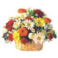 Send Anniversary Flowers to India