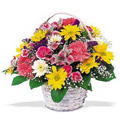 Send Anniversary Flowers to India