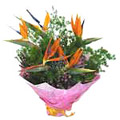 Send Flowers to India : Anniversary Flowers to India