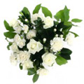 Send Anniversary Flowers to India