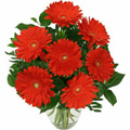 Send Anniversary Flowers to India