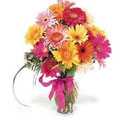 Send Anniversary Flowers to India