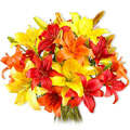 Flowers to India : Send Flowers to India