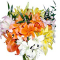 Send Anniversary Flowers to India