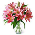 Send Flowers to India : Anniversary Flowers to India